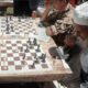 chess in afganistan 80x80