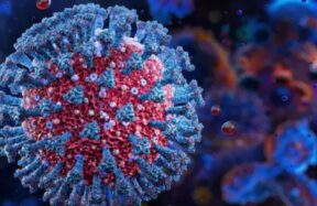 corona virus n