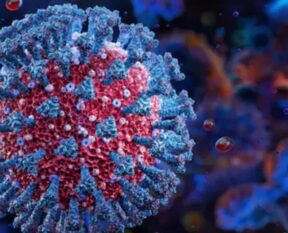 corona virus n
