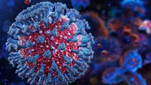 Corona virus