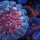 corona virus n 80x80