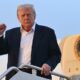donald trump e 80x80