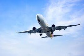 flight