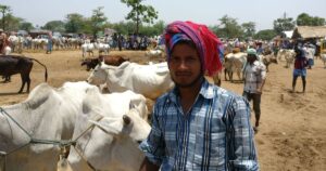 cow marker