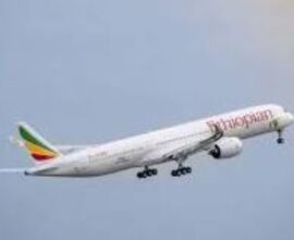 Eurheopian airlines