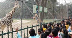alipur zoo