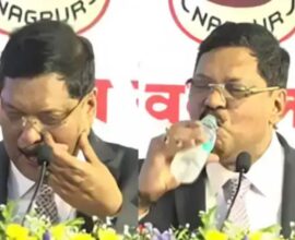 cji gavai