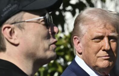 donald Trump and elon musk