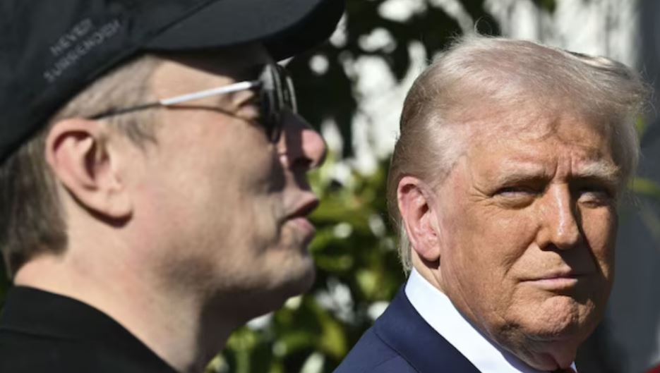 donald Trump and elon musk