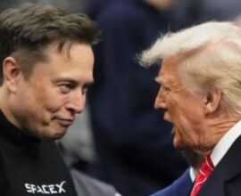elon musk and donald trump