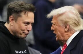 elon musk and donald trump