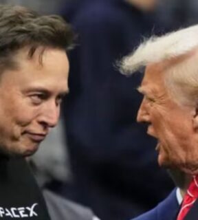 elon musk and donald trump