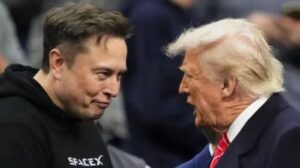 elon musk and donald trump