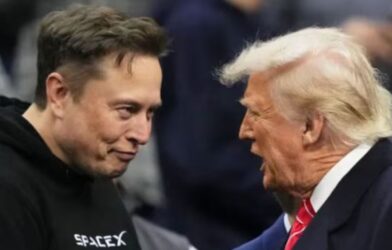 elon musk and donald trump