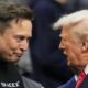 elon musk and donald trump 80x80