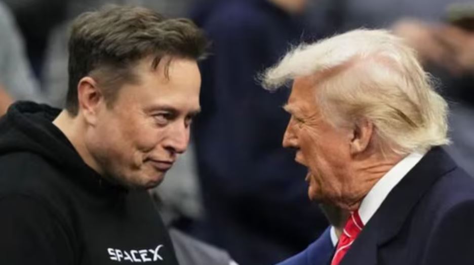 elon musk and donald trump