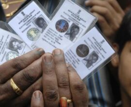 fake voter cards