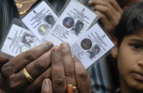 fake voter cards
