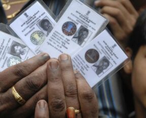 fake voter cards