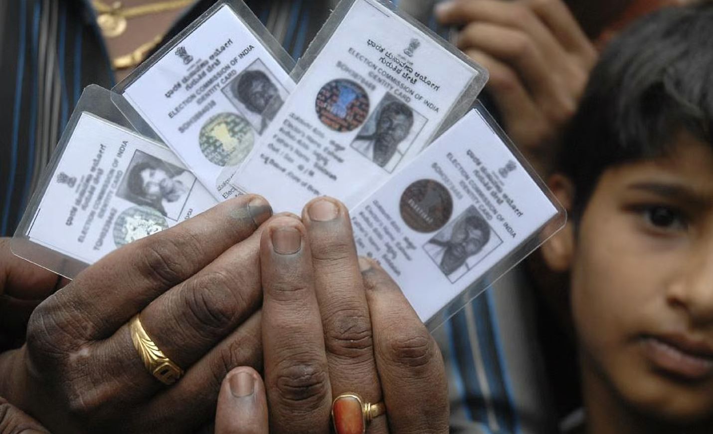 fake voter cards