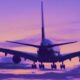 flight