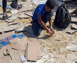 gaza