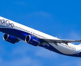 indigo flight