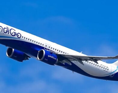 indigo flight