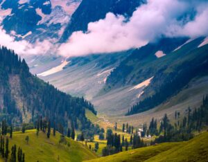 kashmir