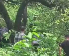 murder in Goa