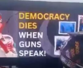 pakistani protet in america