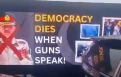 pakistani protet in america