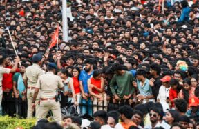 rcb celebration
