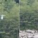 zipline accident