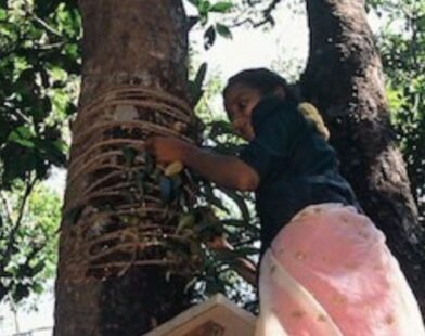 forest woman