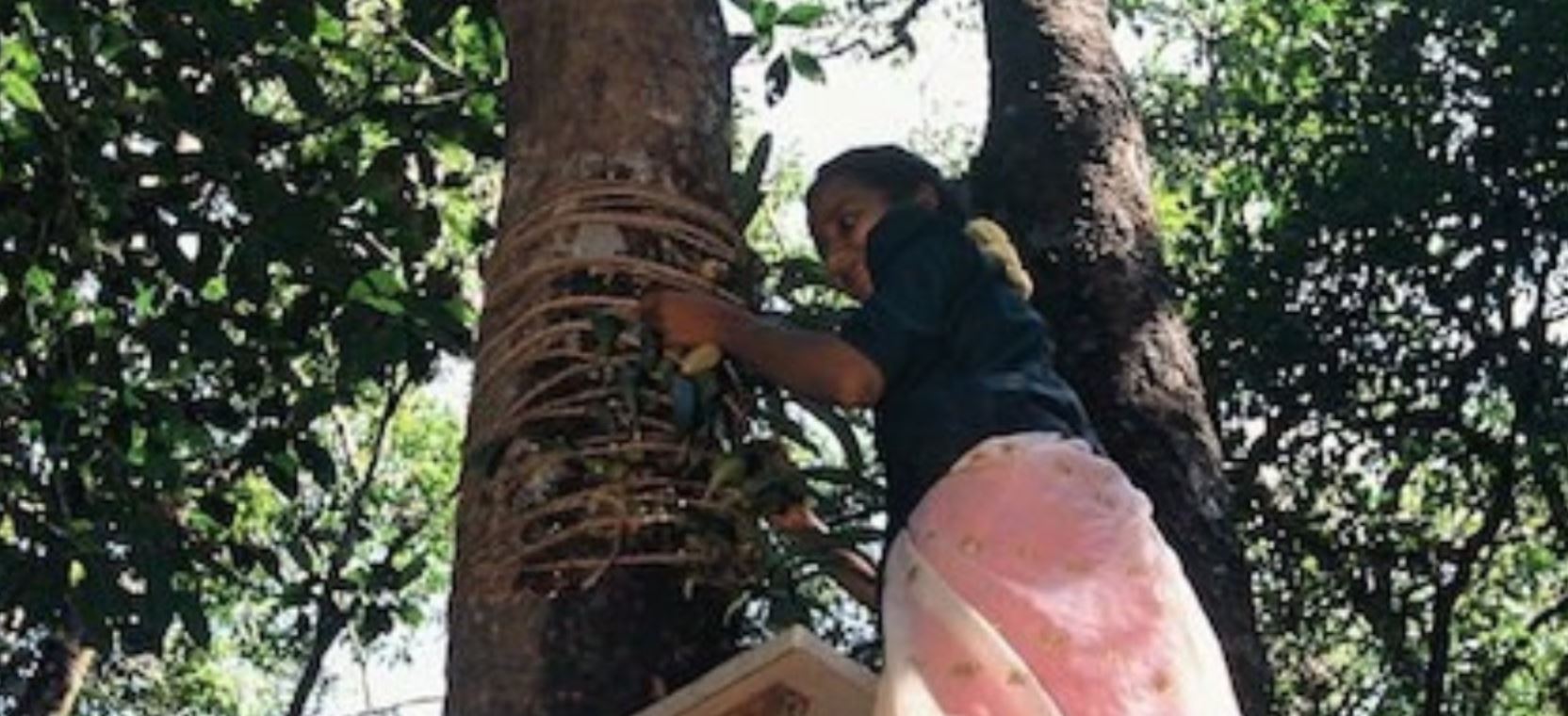 forest woman
