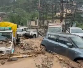 himchal Pradesh mandi