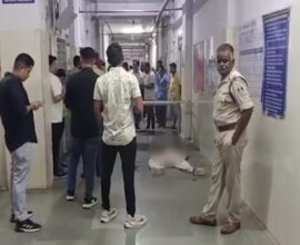 madhya pradesh killed