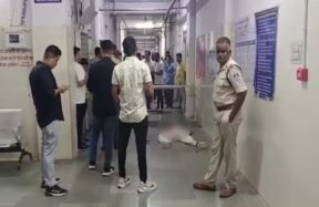 madhya pradesh killed