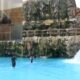 nicco park 80x80