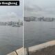 ongkong 80x80