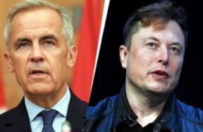 ontario and musk