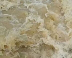 purulia a