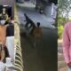 uttar pradesh murder 80x80