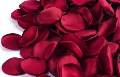 rose petals