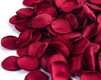 rose petals
