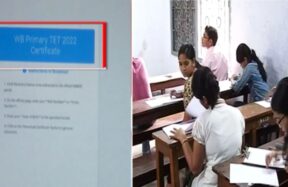 tet exam