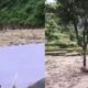 Uttarakhand 80x80