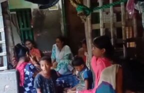 sundarban a