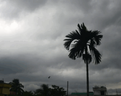 cyclone
